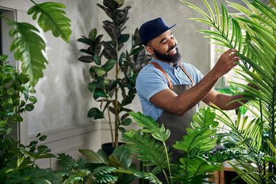 Hilton Carter's newest plant decor line at Target is here – and it might just have finally convinced me on artificial plants