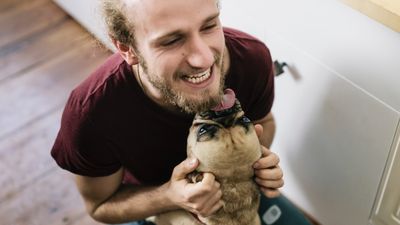 Dog owners! Here’s one surprising thing you should pay attention to if you want a happier relationship with your pup