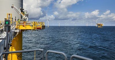 Hessle firm wins quality assurance contract on record-breaking German wind farm