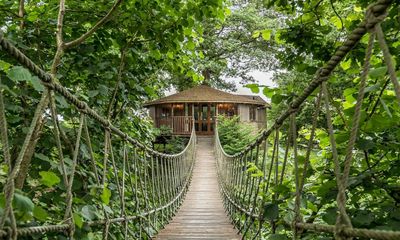 It had to be a treehouse: how I found the perfect space to celebrate our ‘wood’ anniversary