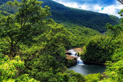 Japanese island introduces cap on visitor numbers to combat overtourism