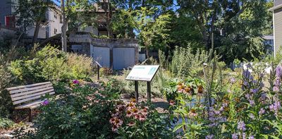 Food forests are bringing shade and sustenance to US cities, one parcel of land at a time