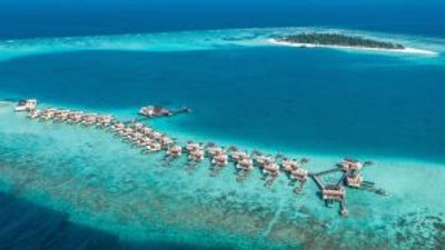 Angsana Velavaru, Maldives review: a new level of relaxation at ‘turtle island’