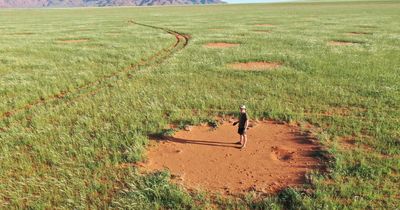 Mystery of desert ‘fairy circles’ may finally be SOLVED due to ancient knowledge