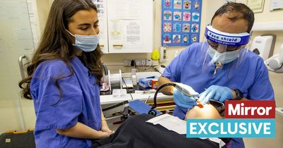 Day in the life of a dentist: 'Bonkers and broken' NHS, Turkey teeth and DIY horrors