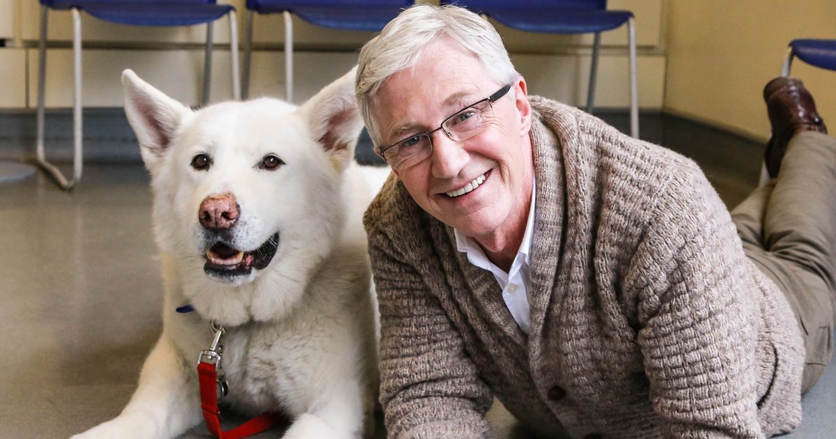 Paul O'Grady: Stars, fans and dogs turn out to say farewell at