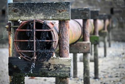 Raw sewage blights once-idyllic beaches on Isle of Wight