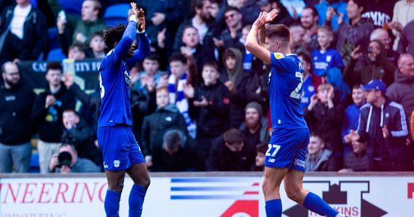 Mark Harris: Cardiff City should be higher up Championship table