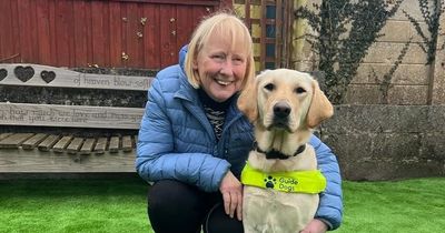 'I lost my sight but was stuck without a guide dog for nearly three years'