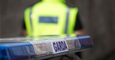 Young woman killed in Limerick assault as gardai launch major probe