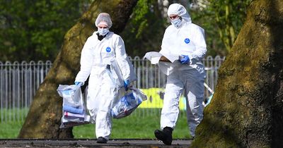 Air gun found in park as police and forensics search near children's play area