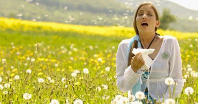 Hayfever warning as first major pollen bomb of 2023 explodes across UK amid warm weather