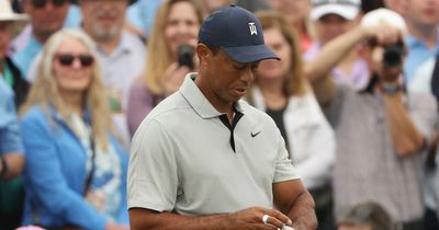 Tiger Woods - Rory McIlroy will 'definitely' win The Masters during his career