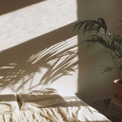 Wondering what having sex in a dream with someone you know means? 7 common scenarios, explained