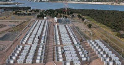 'Advancing and accelerating': AGL unveils big battery plan for Tomago
