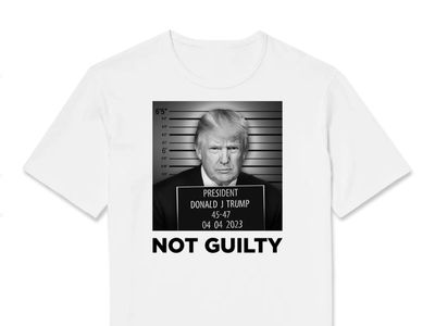 Trump shares his own ‘mugshot’ to cash in on indictment