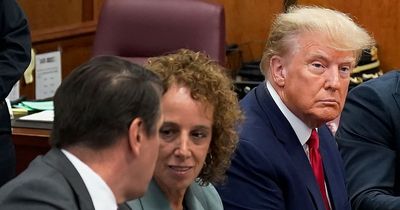 Donald Trump pictured in court as he pleads not guilty to 34 charges