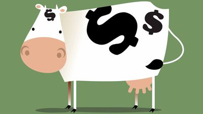 Best Cash Cows to Buy Now