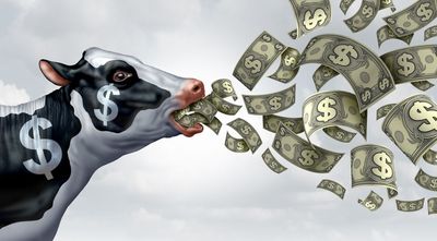 Best Cash Cows to Buy for All Market Environments