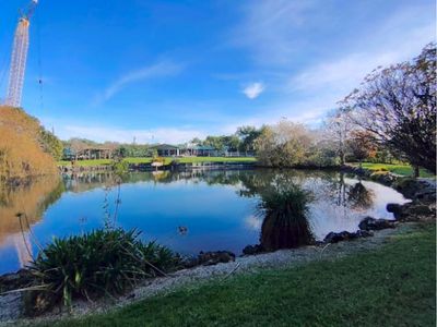 US tech giant Amazon draining Auckland wetlands to build big cloud data centre