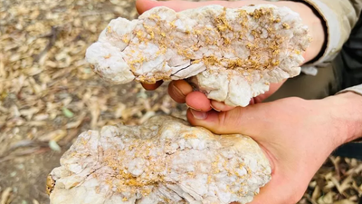 'Absolutely gobsmacking' gold nugget worth $160,000 unearthed by metal detectorist in Australia