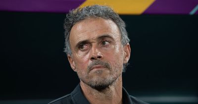 Tottenham news: Spurs handed Luis Enrique boost amid Brendan Rodgers latest