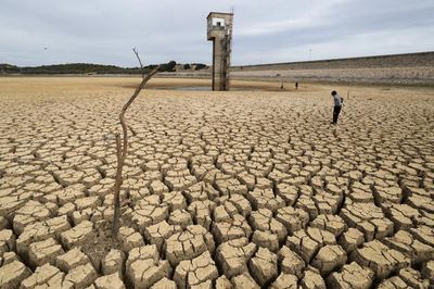 Water ban in drought-stricken Tunisia adds to growing crisis