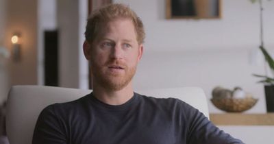 Prince Harry 'did tell US officials about his drug history when he applied for visa'