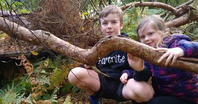 Colvend and Palnackie Primary pupils enjoy outdoor learning