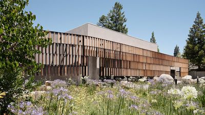 An eco-friendly synagogue is the heart of its Palo Alto community