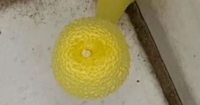 Man creeped out by unusual 'Last of Us' yellow growth in the corner of bathroom