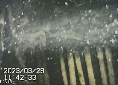 Video probe shows internal damage to Fukushima reactor