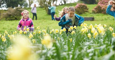 Easter holiday 2023: All the big events and things to do in Wales for all the family