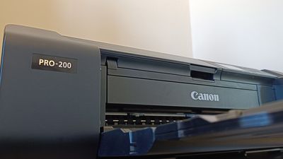 Canon Pixma Pro-200 review: mighty printer, great photos