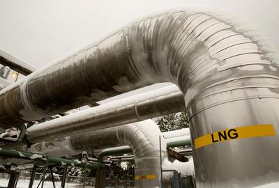 Global banks pledged to cut emissions – but still invest billions on US gas exports
