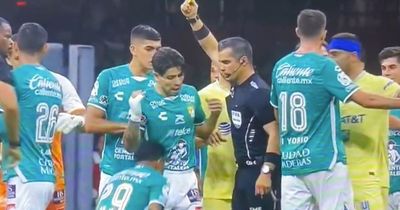 Referee handed 12-match ban after kneeing footballer in groin during confrontation
