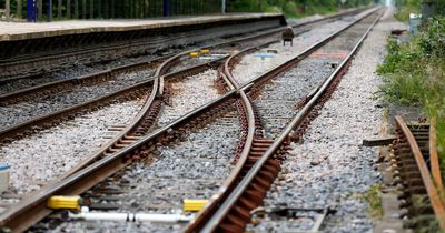 The 'gamechanger' solution to the age-old railway problem of leaves on the line