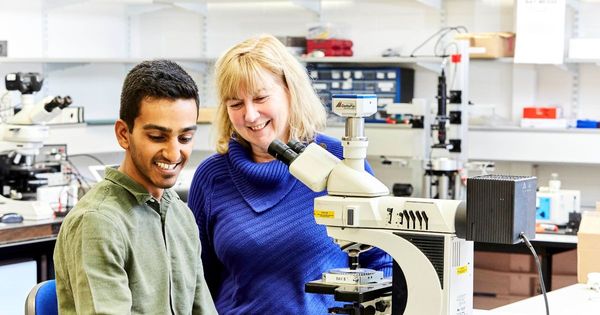 Leeds University spin-out receives £2m investment for 'world first' expanding material