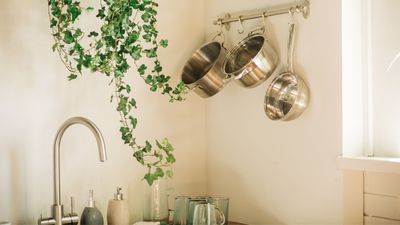 How to season a stainless steel pan