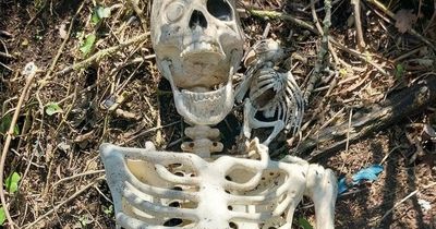 Police called after 'human skeleton' found in bush in Long Eaton
