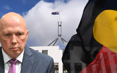 Dutton secures leadership with promise to divide referendum, politics