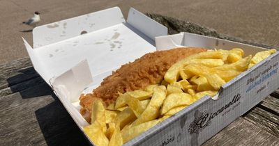 North East fish and chip shops go head-to-head to find best in the region - vote for your favourite