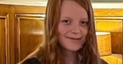Police issue appeal as concern grows over missing girl