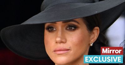 Meghan Markle 'will likely lose' if she decided to run for office, says expert