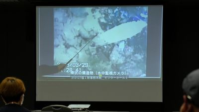 Underwater pictures from inside Fukushima nuclear reactor spark safety concerns