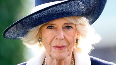 Who are Queen Camilla’s grandchildren and how many does she have?