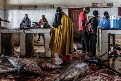 Bloodshed and resilience in a Mogadishu fish market: Tariq Zaidi’s best photograph