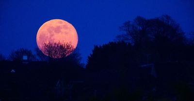 Why is April full moon called a Pink Moon and what it means