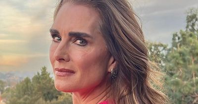 Brooke Shields 'stopped receiving cake from Tom Cruise' after Suri was cut from Christmas card
