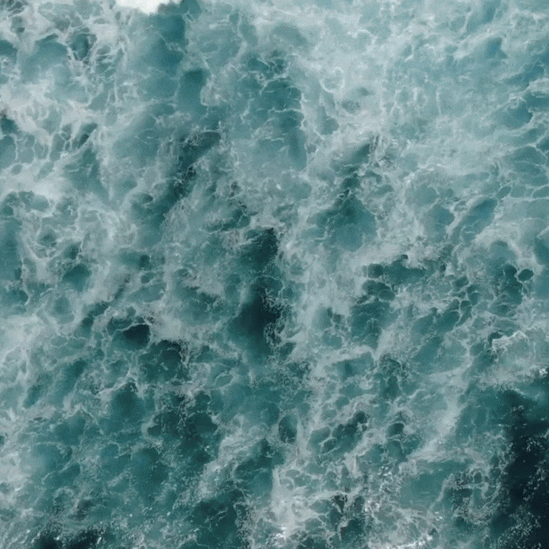 8 Gen Z Climate Activists to Follow Now That Aren’t Greta Thunberg